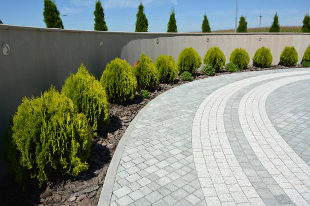 Best Cobblestone Driveway Paving in Springdale, NC